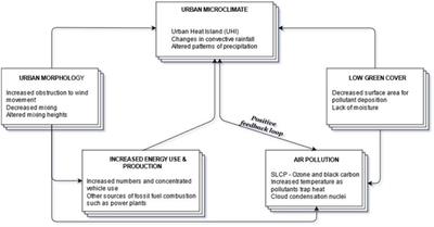 Nature-Based Solutions for Co-mitigation of Air Pollution and Urban Heat in Indian Cities